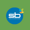 Encuentra Lubricante YES! en Farmacia SalcoBrand